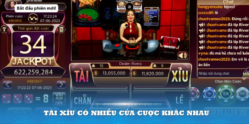 Game tài xỉu có nhiều cửa cược khác nhau với mỗi cơ hội và rủi ro nhất định