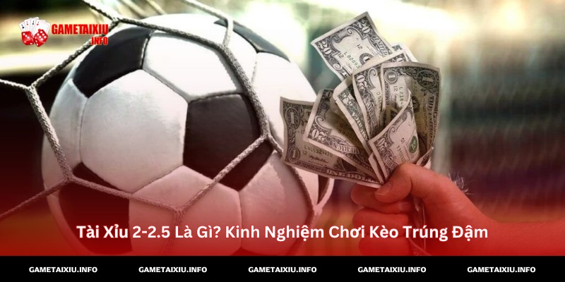 Tài Xỉu 2-2.5 là gì