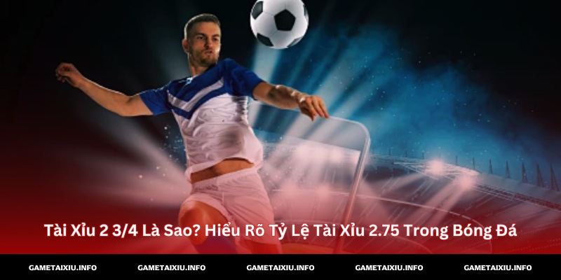 Tài Xỉu 2 3/4 Là Sao